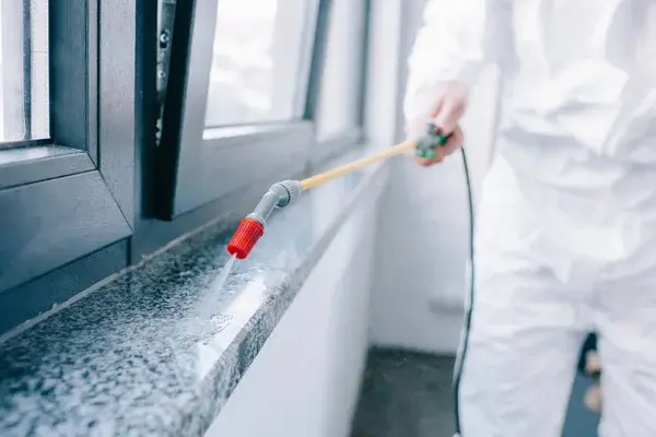 Pest Control Sandringham